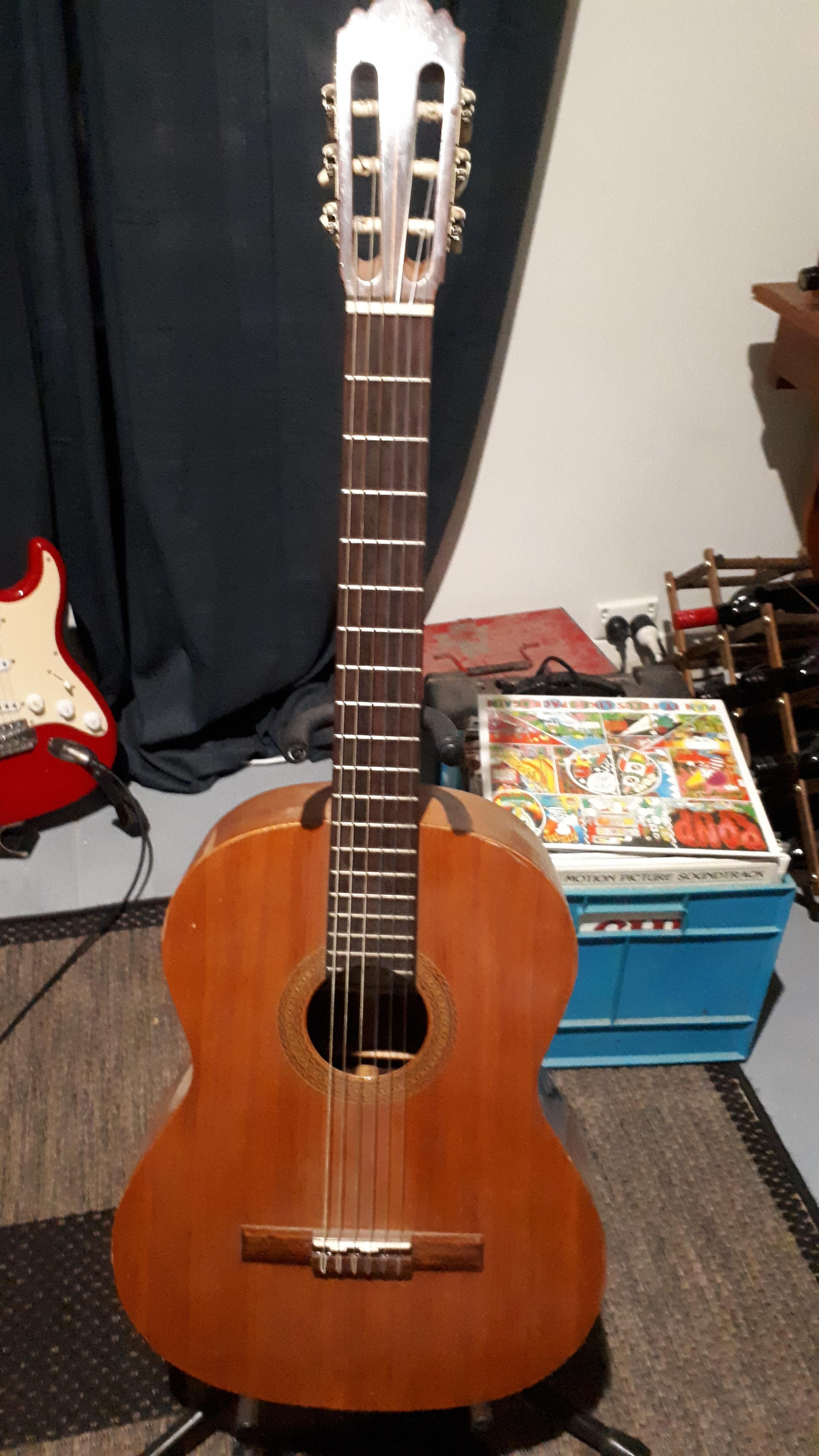 aria guitars dating